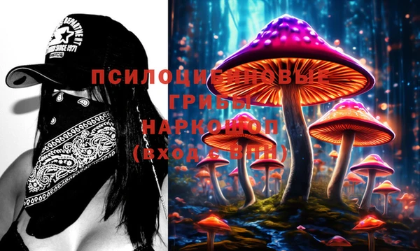 крисы Магас