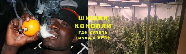 крисы Магас