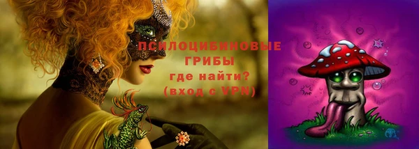 прущие крисы Магадан