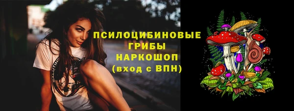 прущие крисы Магадан