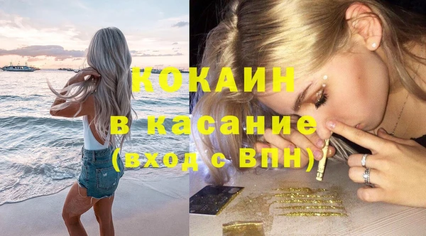 крисы Магас