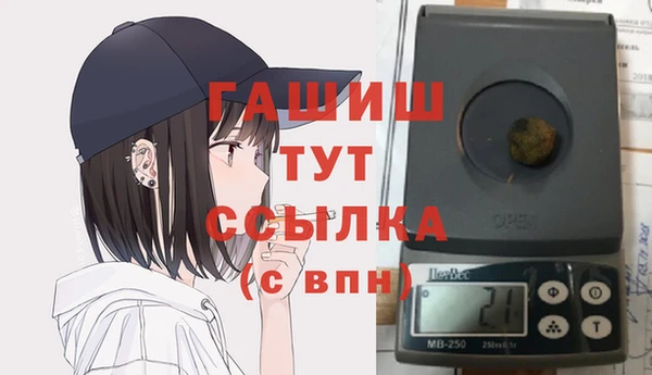 крисы Магас
