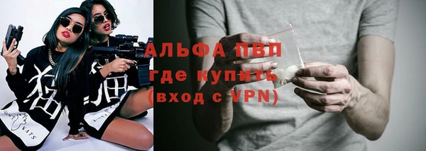 крисы Магас