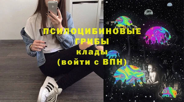 прущие крисы Магадан
