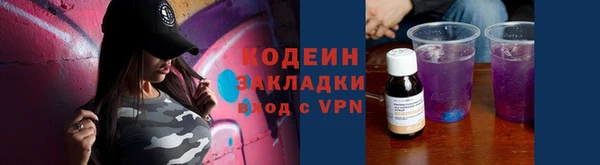 крисы Магас