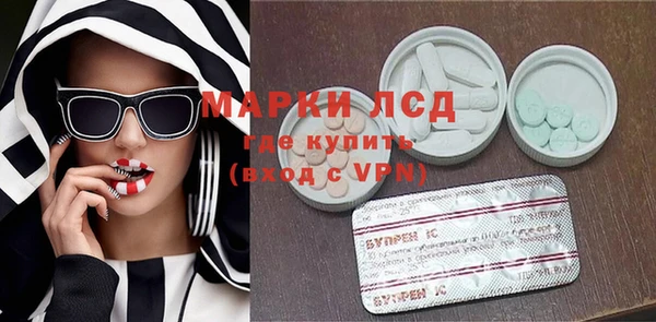 крисы Магас