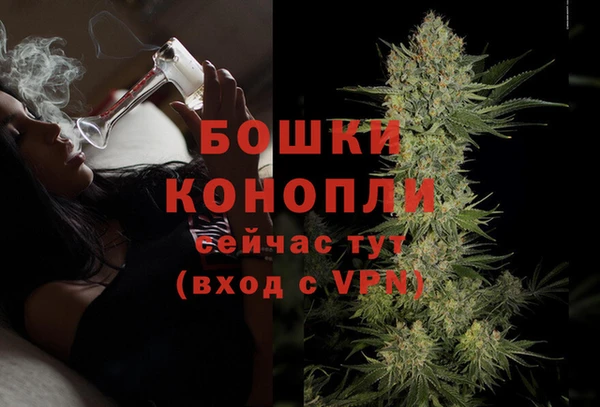 прущие крисы Магадан