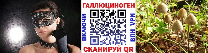 Псилоцибиновые грибы GOLDEN TEACHER Фёдоровский